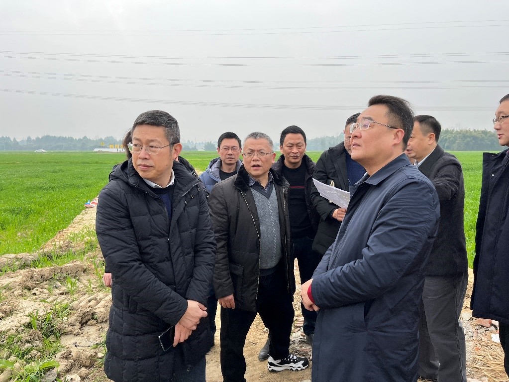 省社、省供投集團(tuán)領(lǐng)導(dǎo)調(diào)研青白江區(qū)四川現(xiàn)代供銷種業(yè)園區(qū)