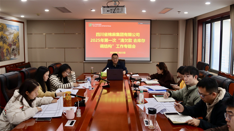 集團(tuán)公司召開2025年第一次“清欠款、去庫存、調(diào)結(jié)構(gòu)”工作專題會(huì)
