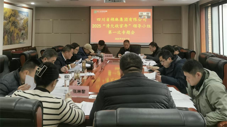 集團(tuán)公司召開2025“清欠收官年”領(lǐng)導(dǎo)小組第一次專題會
